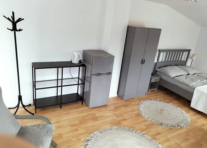 民宿 U Bozeny 奥斯特罗沃